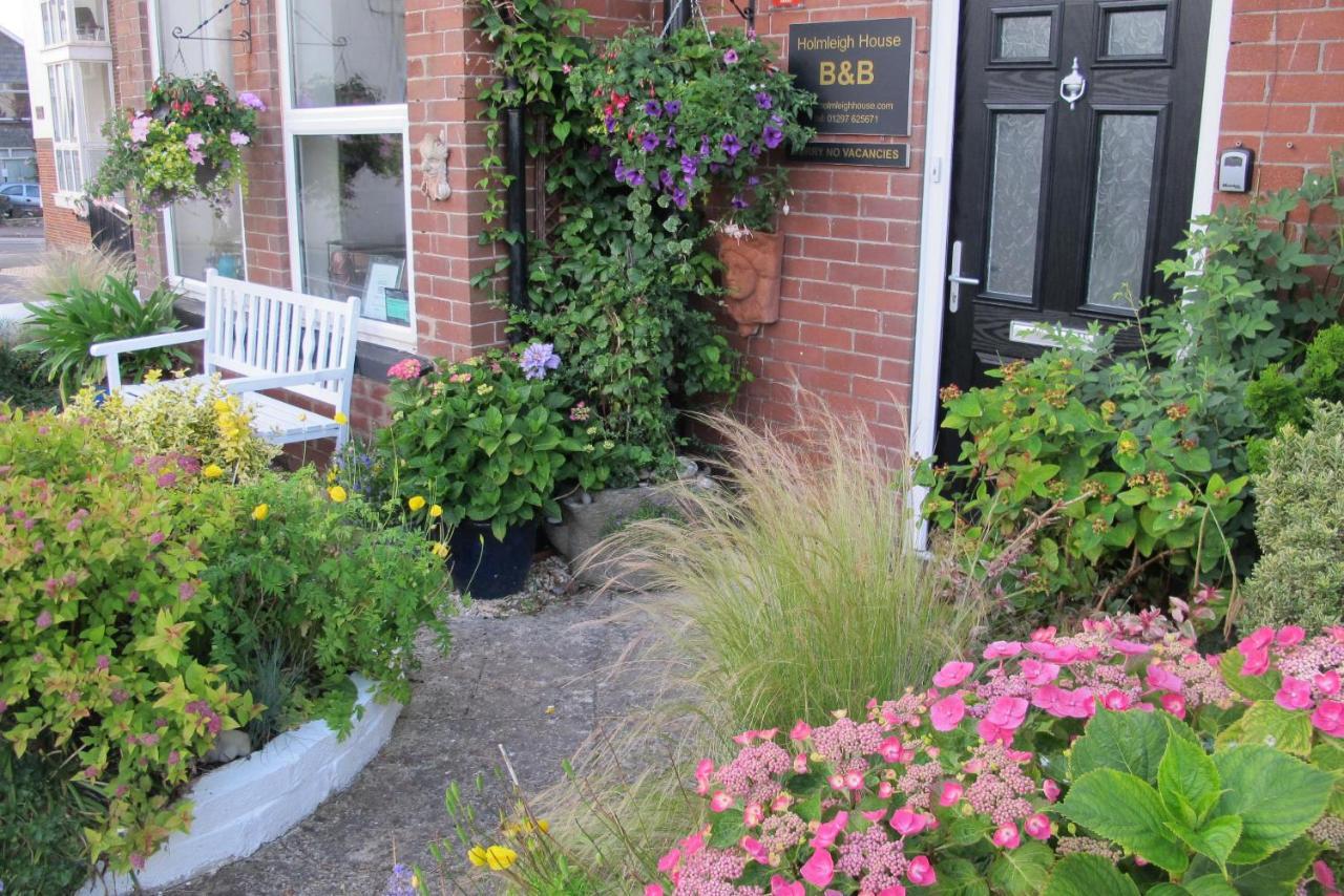 سيتون Holmleigh House Bed And Breakfast المظهر الخارجي الصورة